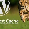 WP Fastest Cache Premium