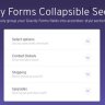 Gravity Forms Collapsible Sections Add-On By JetSloth