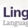 Lingvico | Language Center & Training Courses WordPress Theme