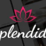 Splendida | Multipurpose template with Booking Wizard